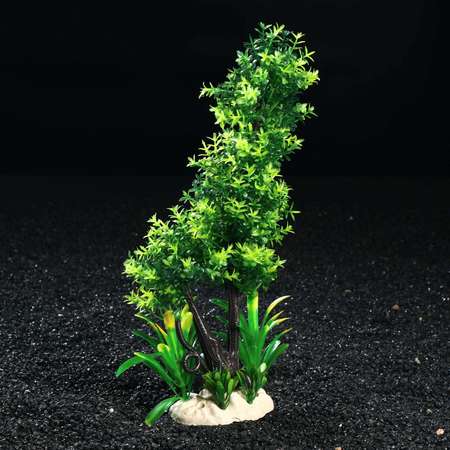 Композиция с растениями Пижон Аква для аквариума 28 см