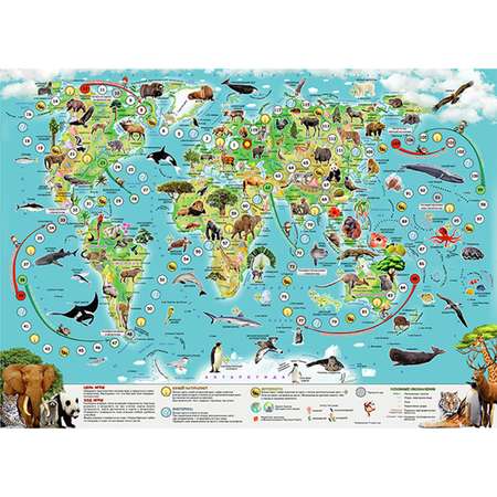 Игра настольная Атлас Принт на основе физической карты мира