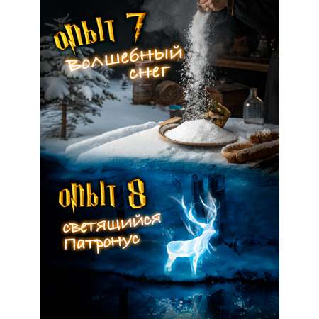 Набор для опытов Harry Potter