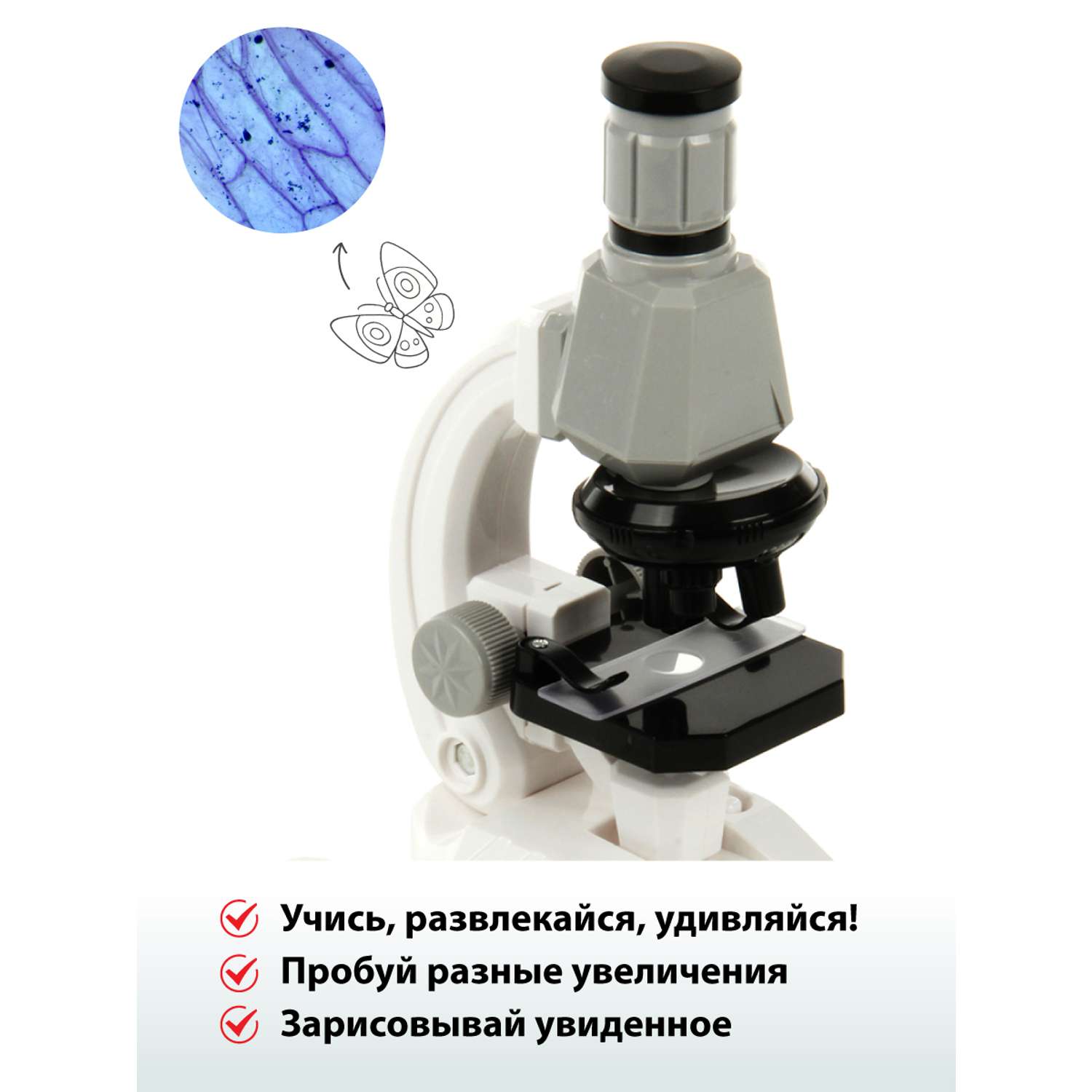 Микроскоп Veld Co с аксессуарами 5 предметов - фото 5