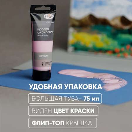 Краски акриловые Gamma_ 12 цв.