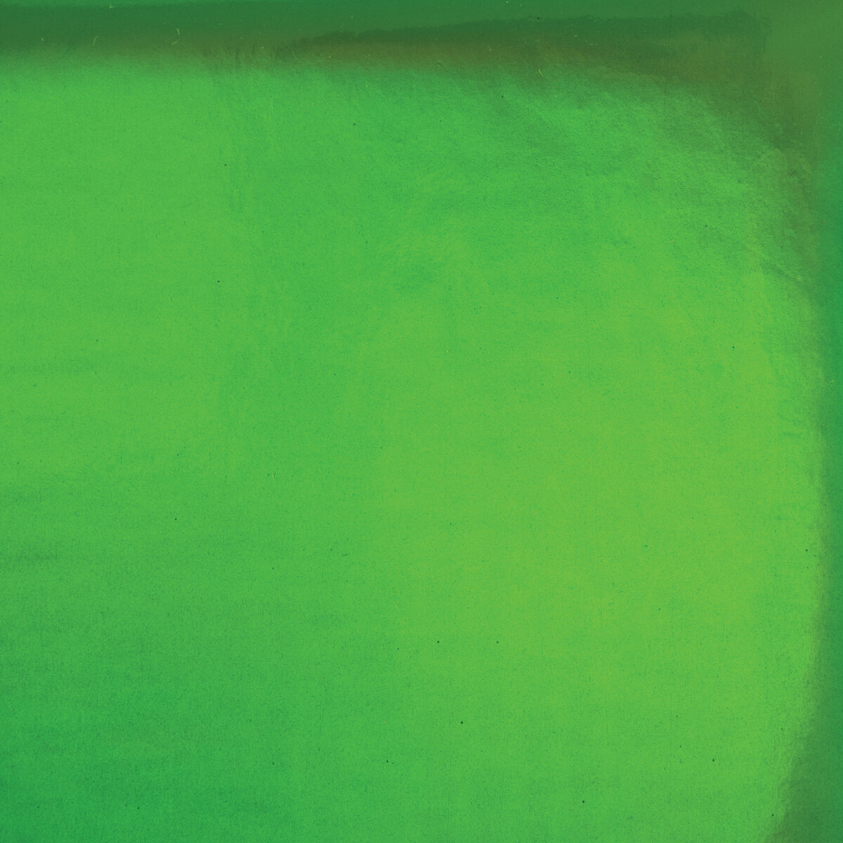 Ежедневник Brauberg недатированный А5 Holiday кожзам 136л зеленый - фото 7