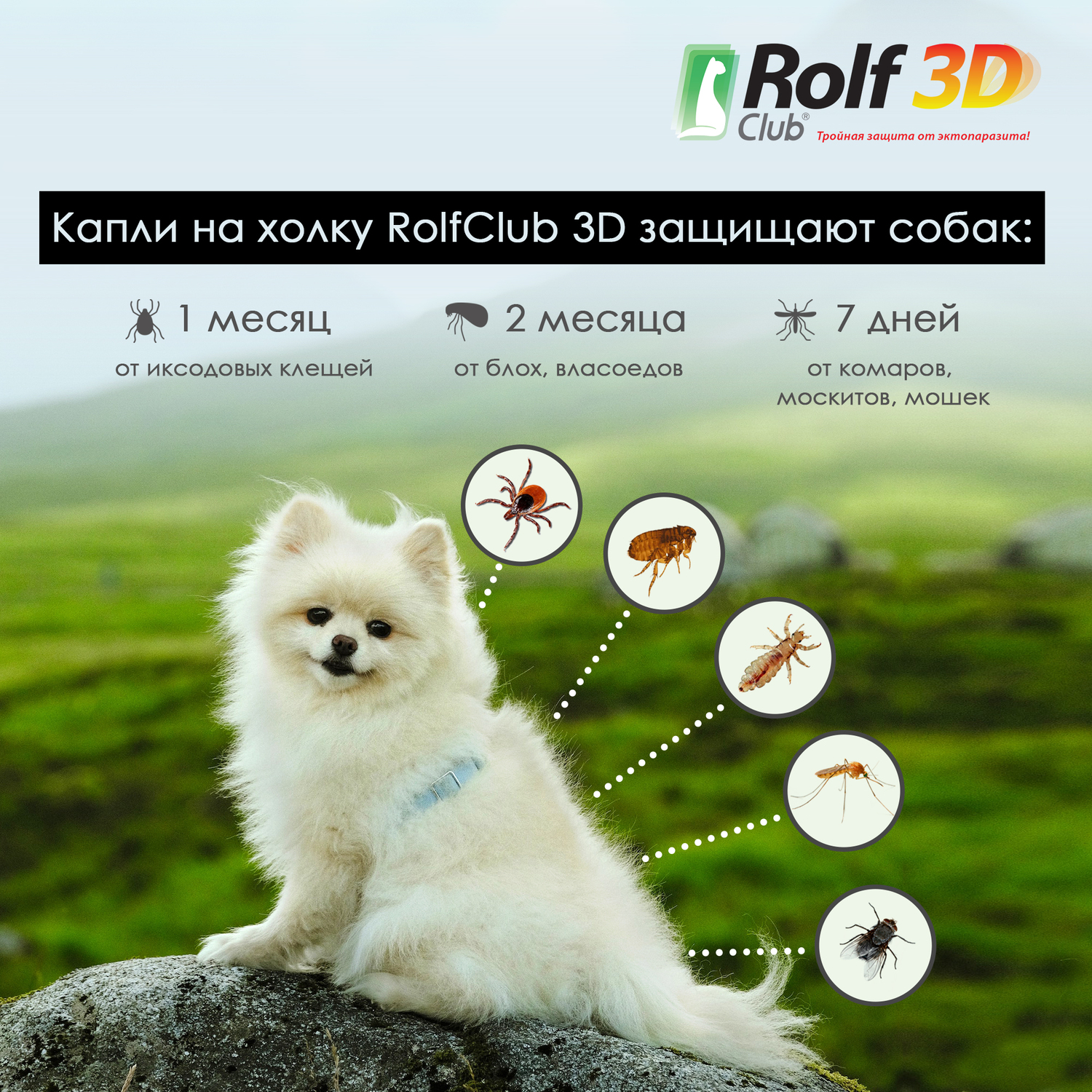 Капли для собак RolfClub 3D до 4кг 3пипетки - фото 5