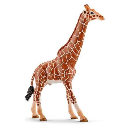 Фигурка SCHLEICH Жираф самец