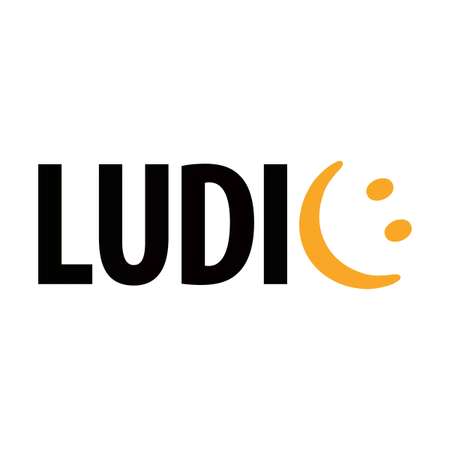 Карточная настольная игра LUDIC слова в голове