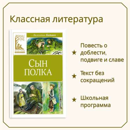 Книга Махаон Сын полка.