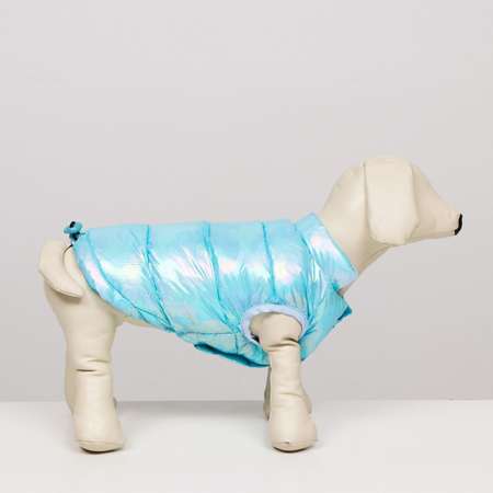 Куртка для собак Sima-Land двухсторонняя голубая