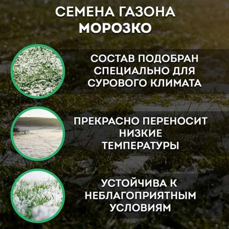 Семена для газона ЕВРО-СЕМЕНА Морозко 10 кг