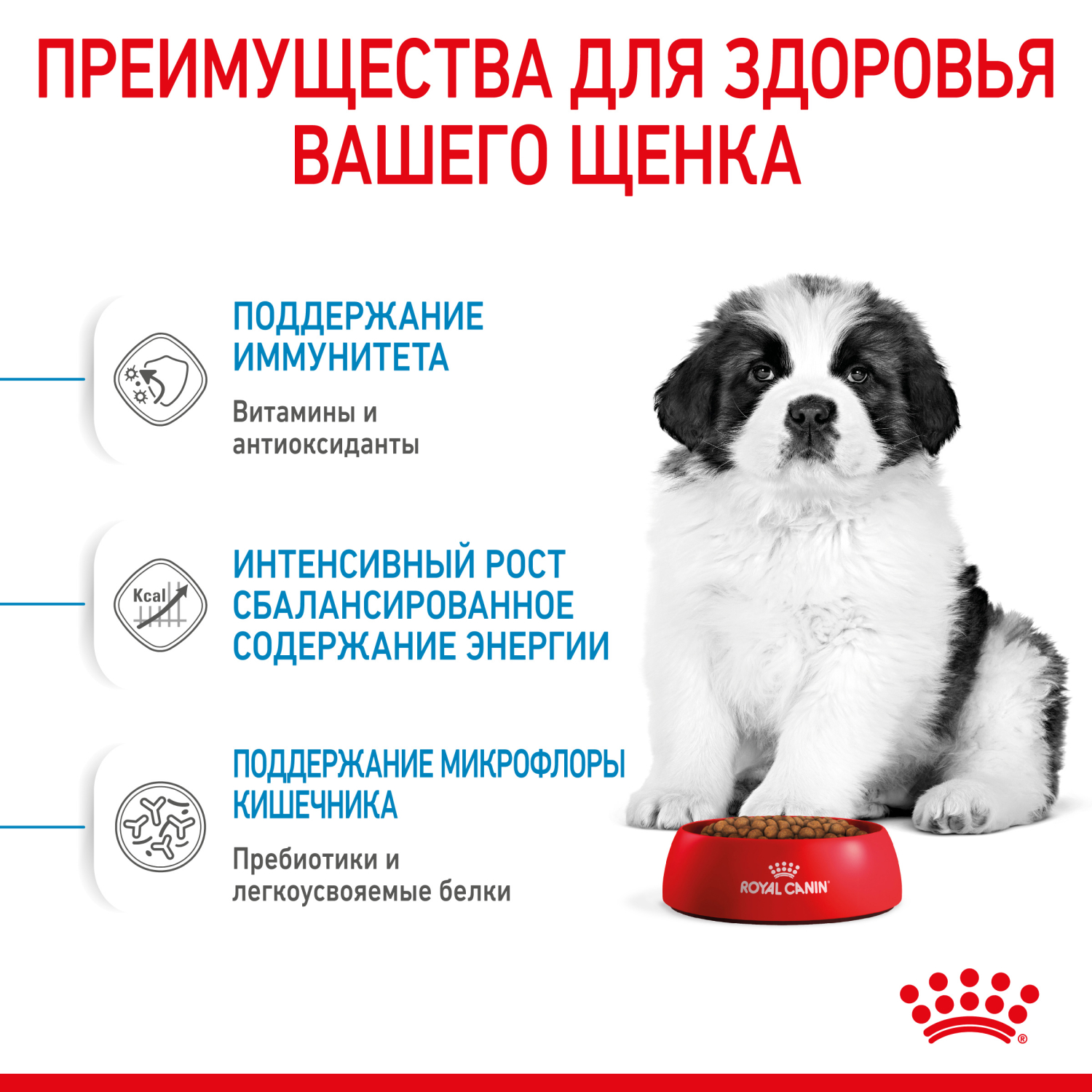 Корм для щенков ROYAL CANIN гигантских пород 2-8месяцев 15кг - фото 6