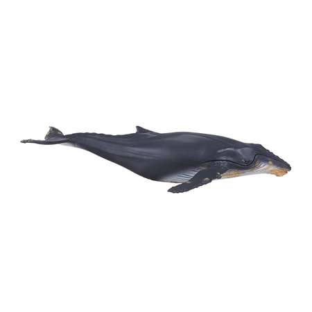 Фигурка MOJO Animal Planet Горбатый кит 387277
