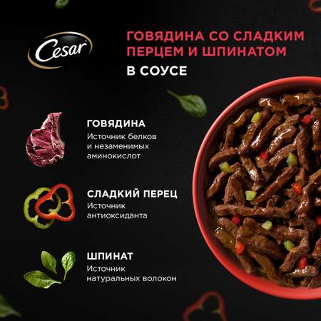 Корм для собак Cesar 80г Natural Goodness взрослых с говядиной паприкой и шпинатом в соусе