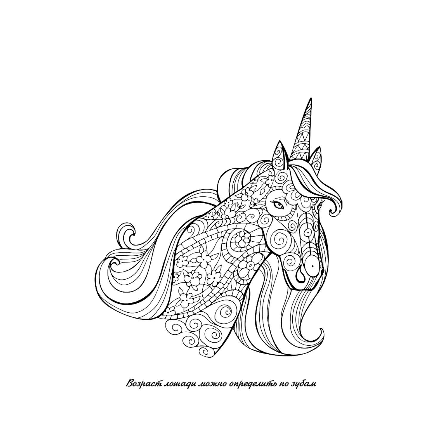 Раскраска Великолепные лошадки мчись навстречу прекрасному Раскраски антистресс - фото 4