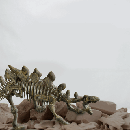 Набор для экспериментов KONIK Science раскопки ископаемых животных Стегозавр