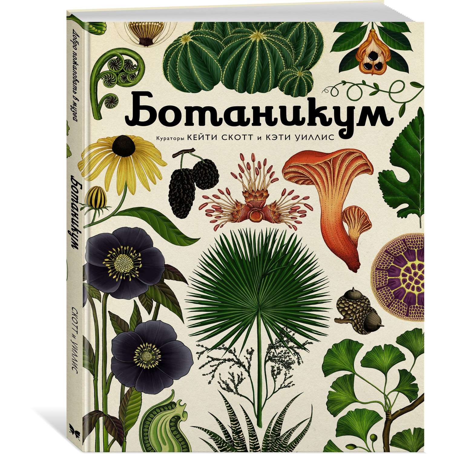 Книга МАХАОН Ботаникум. Энциклопедии - фото 2