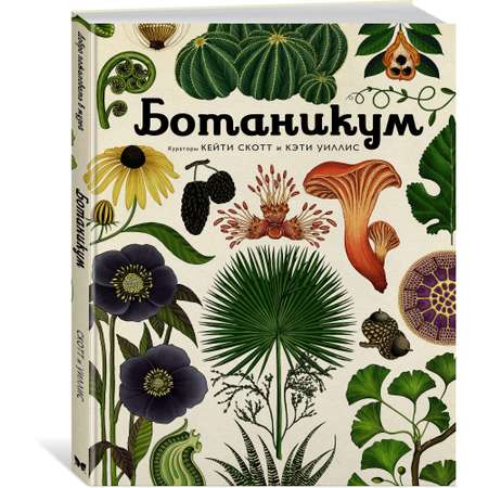 Книга МАХАОН Ботаникум. Энциклопедии