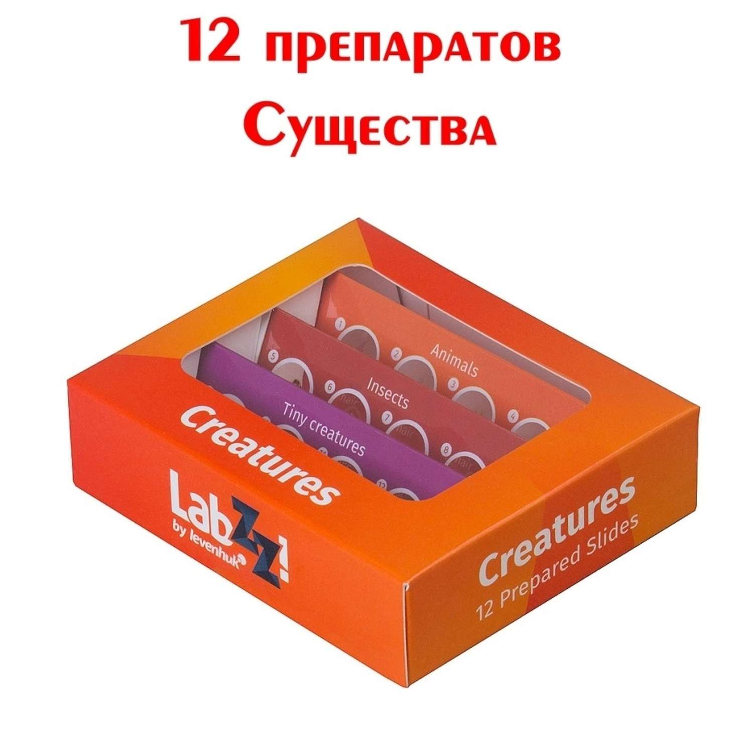 Набор микропрепаратов Levenhuk LabZZ P12 для микроскопа. Существа - фото 2