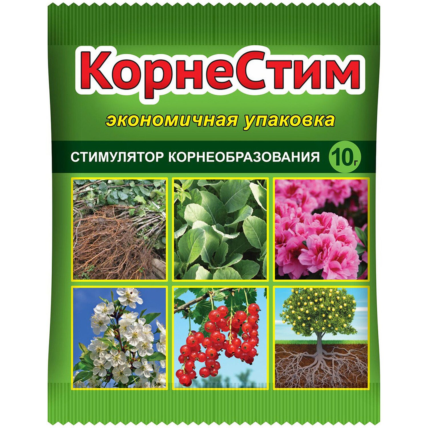 Удобрение Ваше Хозяйство Корневин Стимулятор роста 10 г - фото 1