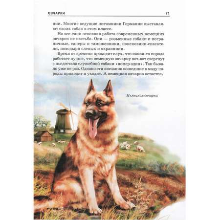 Книга Лада Собаки. Школьный путеводитель