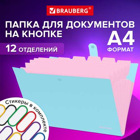 Папка-органайзер Brauberg для документов А4 на кнопке канцелярская 12 отделений