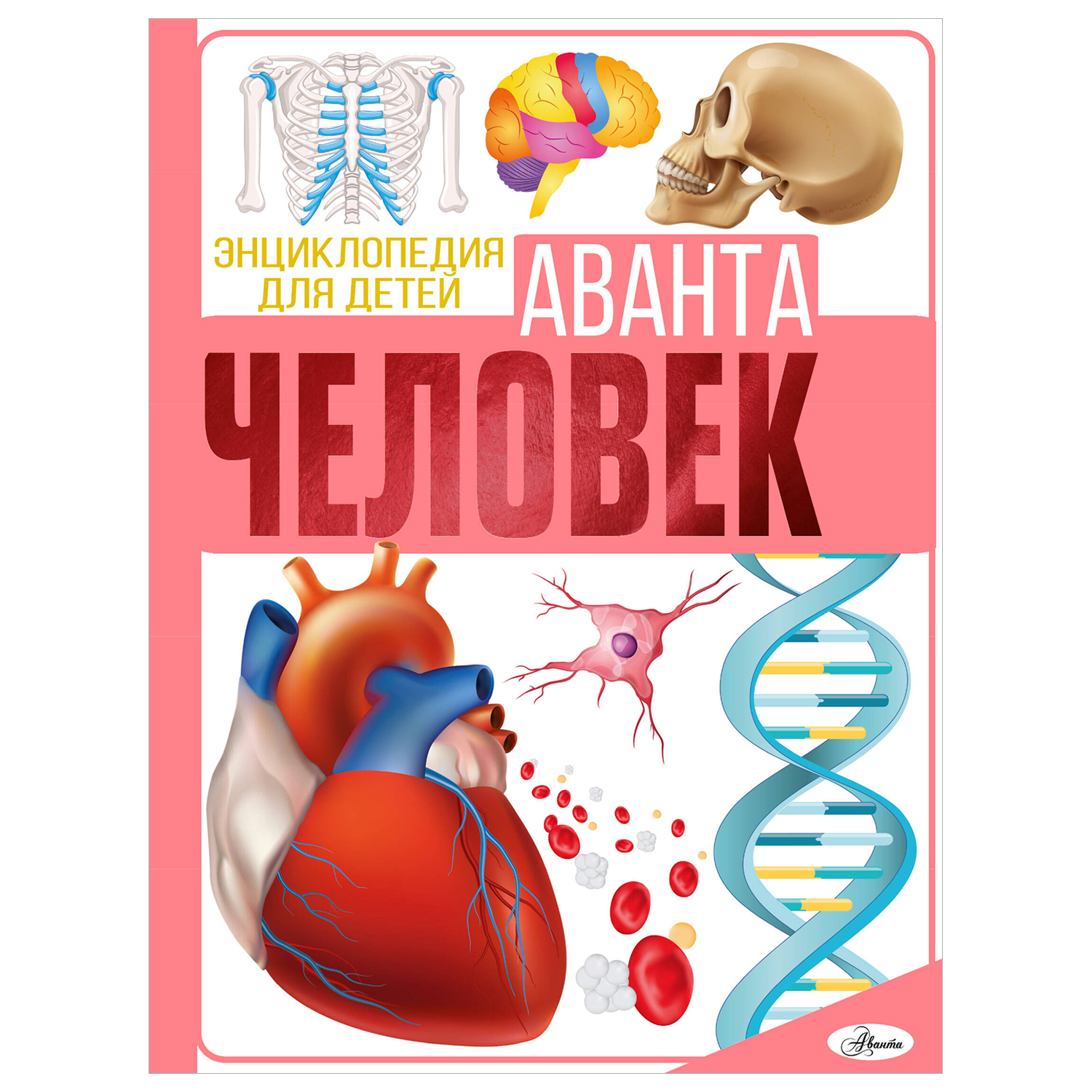 Энциклопедия для детей Аванта Человек