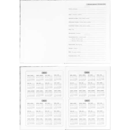Ежедневник Prof-Press 128 лист.