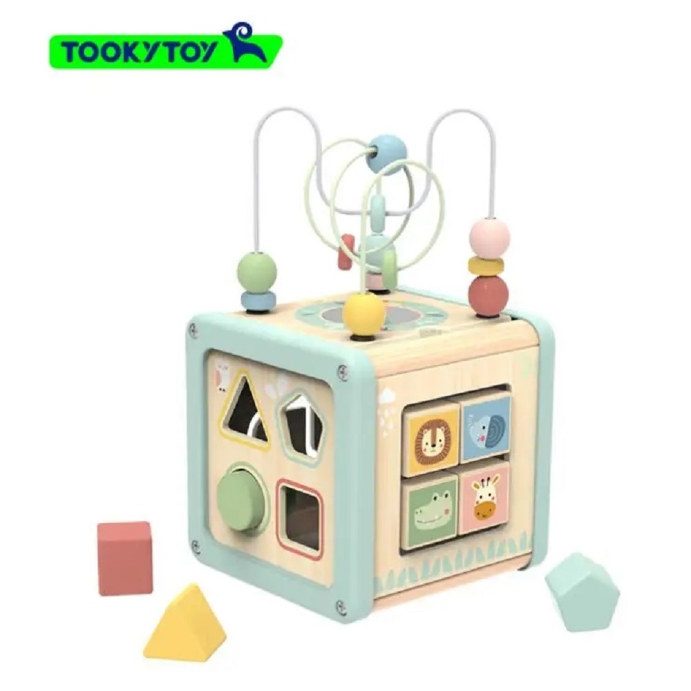 Сортеры Tooky Toy TJ006 - фото 1