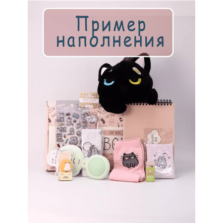 Подарочный бокс для девочки iLikeGift котик