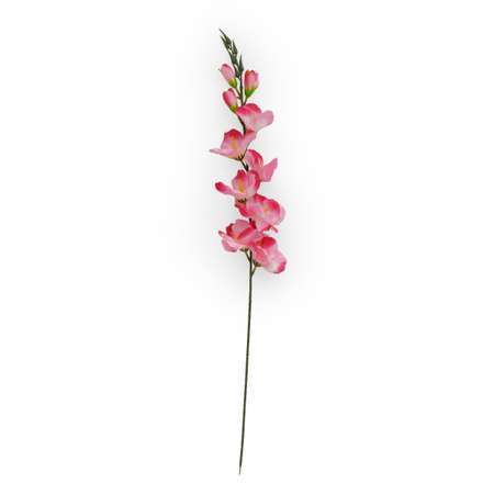 Цветок искусственный Astra Craft Гладиолусы 80 см цвет розово - красный