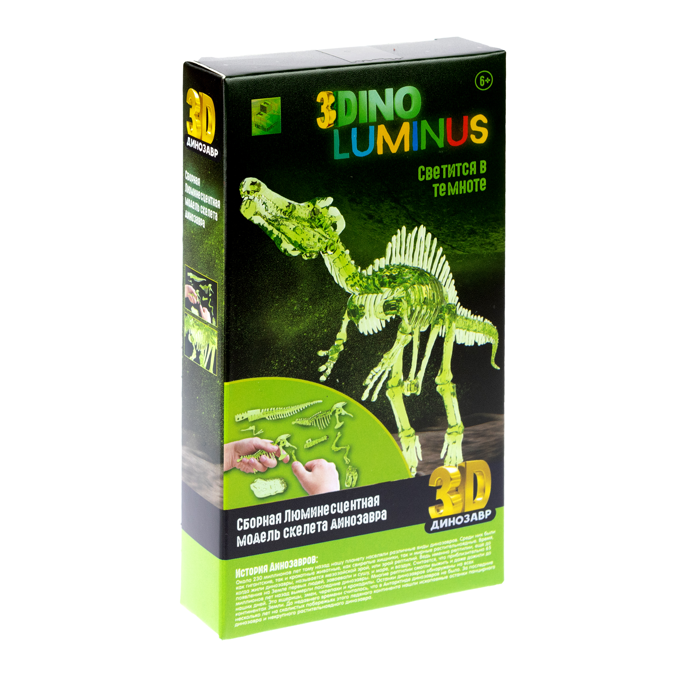 Сборная модель 1TOY 3dino luminus люминисцентный скелет динозавра - фото 6