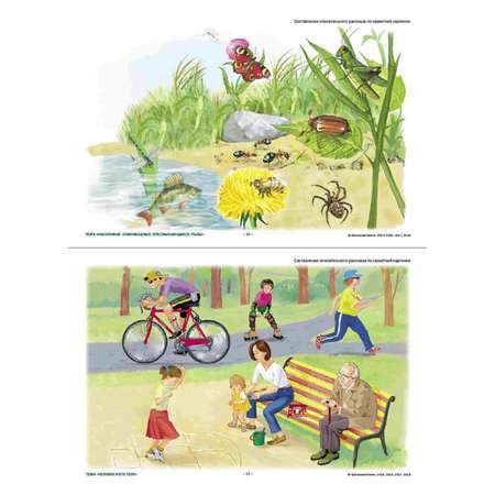 Книга Школьная Книга Сюжетные картинки А3 для составления описательных рассказов Мир растений животных человека