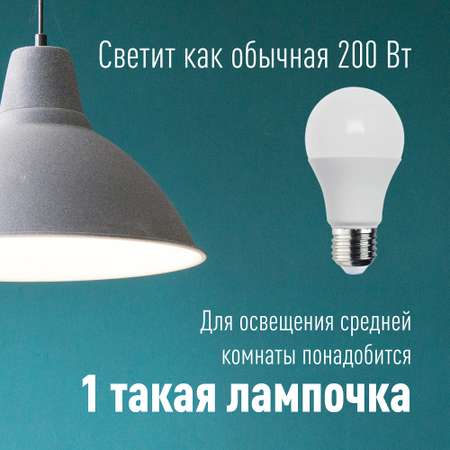 Лампа светодиодная КОСМОС набор 2 шт LkLED 25w A65 E2730_2