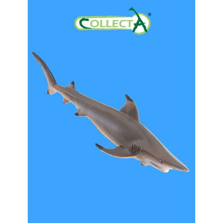 Фигурка морского животного Collecta Рифовая акула