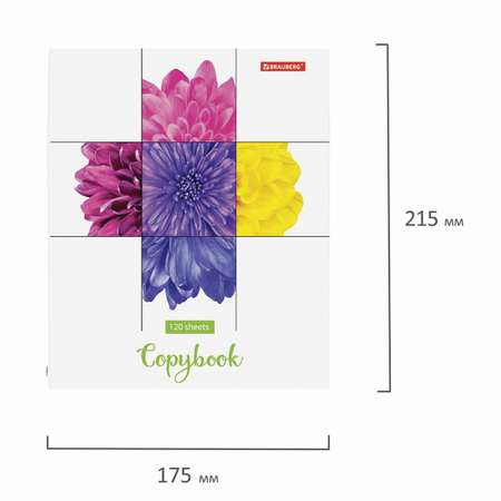 Тетрадь на кольцах Brauberg А5 со сменным блоком 120 листов клетка