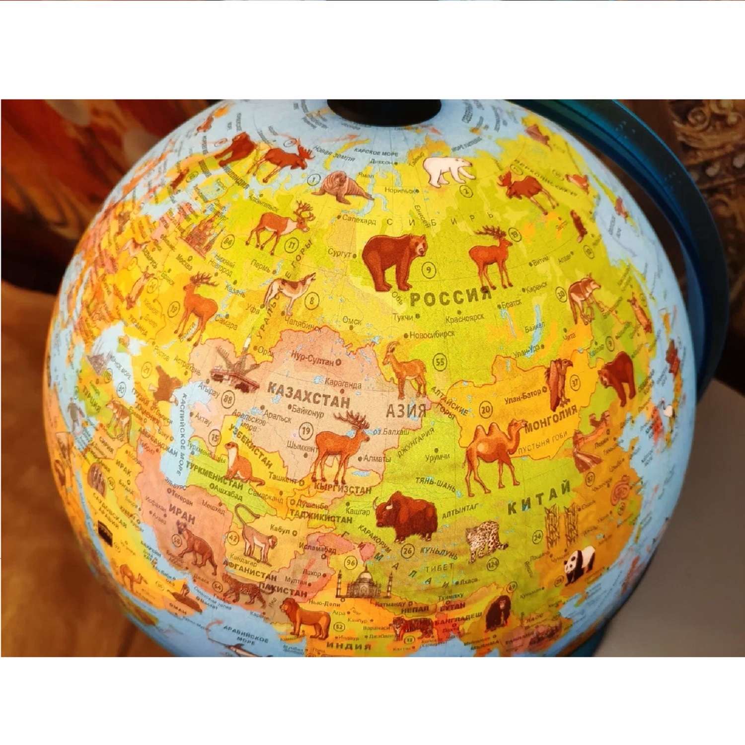 Глобус TECNODIDATTICA Safari зоологический с LED-подсветкой 30см на русском языке - фото 7