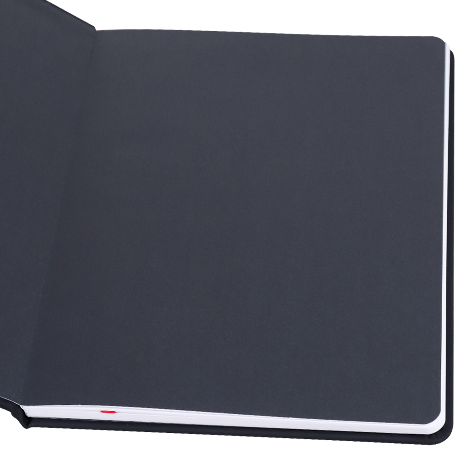Дневник школьный Prof-Press Silhouette 48 листов кожзам 1-11 класс - фото 3