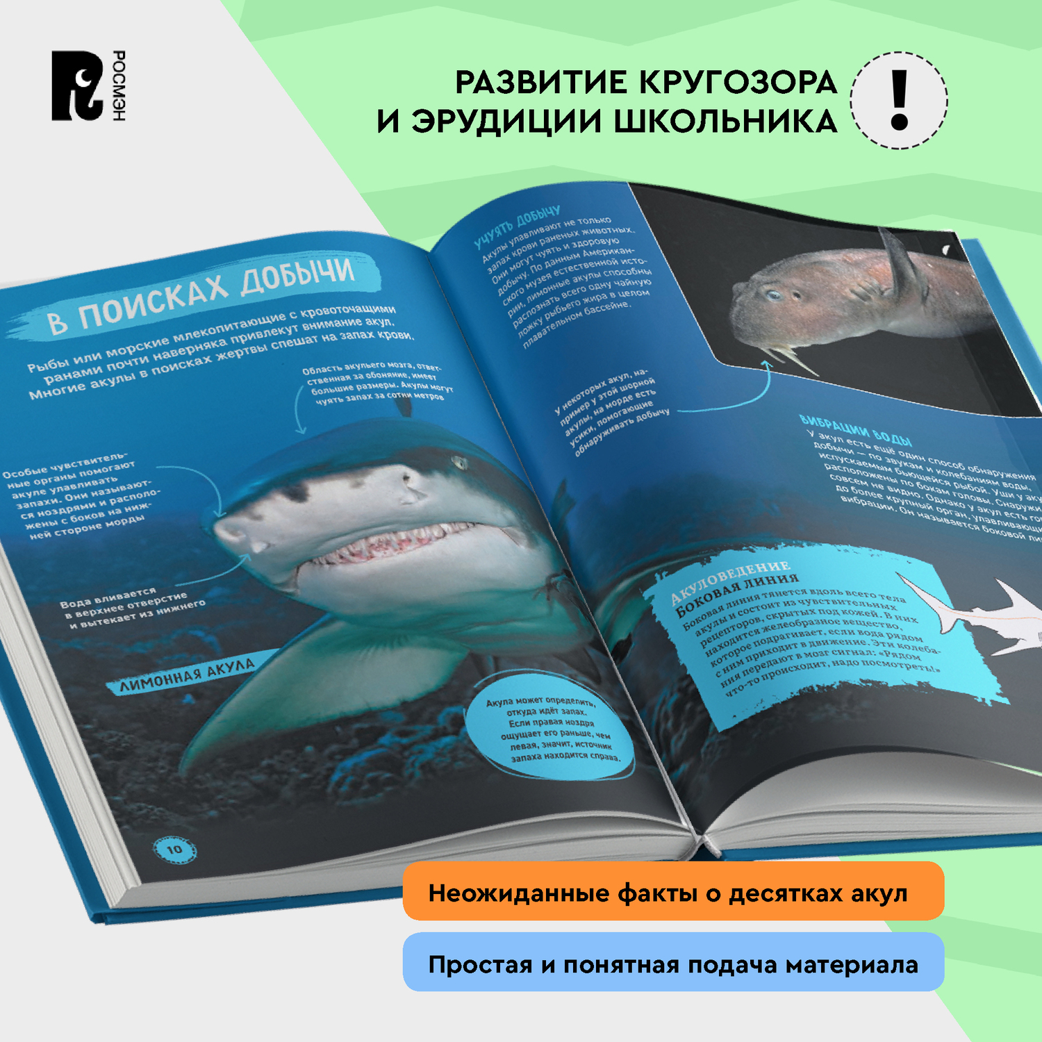 Книга Акулы Иллюстрированная энциклопедия - фото 9