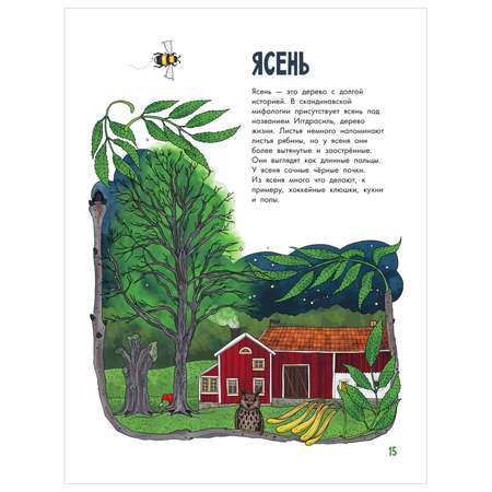 Книга Моя первая книга Деревья