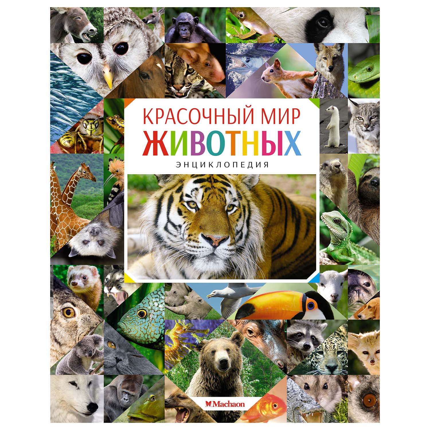 Энциклопедия Махаон Красочный мир животных - фото 1