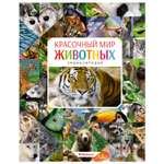 Энциклопедия Махаон Красочный мир животных
