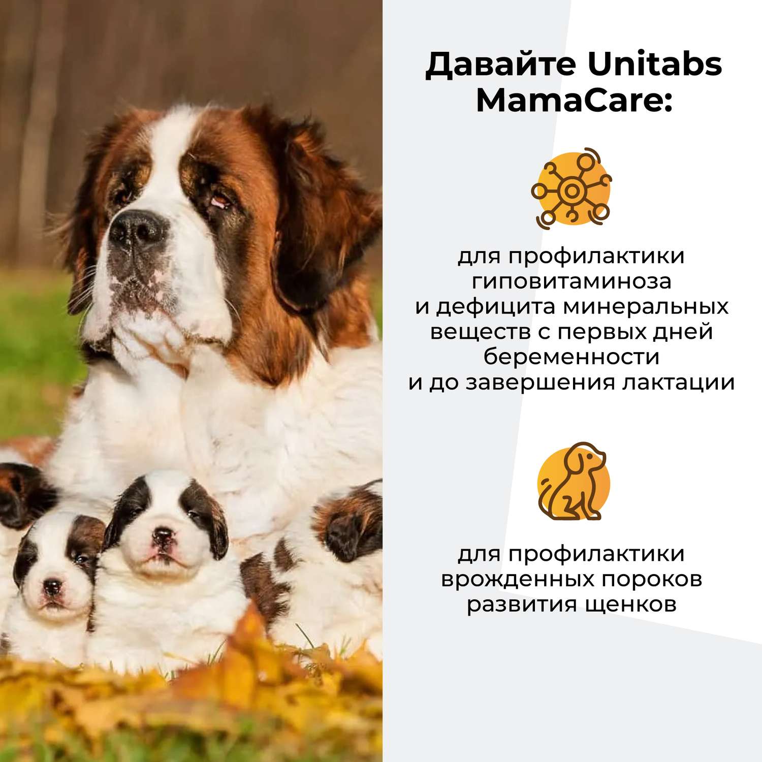 Витамины для собак Unitabs Мама Care беременных c B9 100таблеток - фото 4