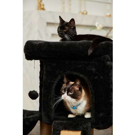 Когтеточка для кошек с домиком Pet БМФ Черный