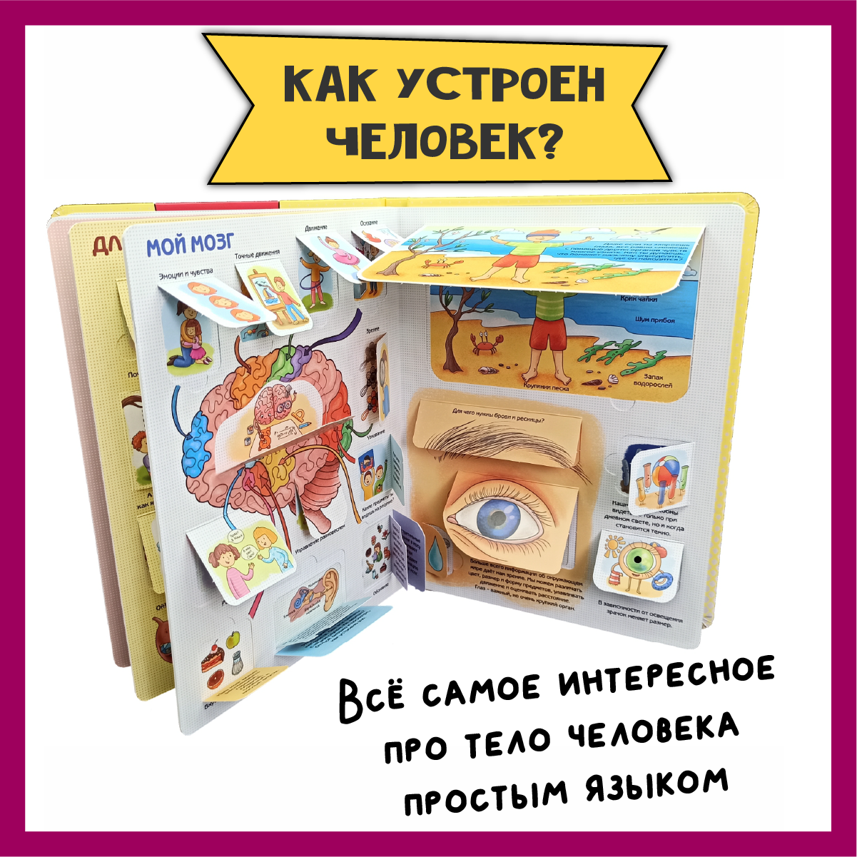 Детские книги с окошками BimBiMon тело человека и как я расту - фото 4