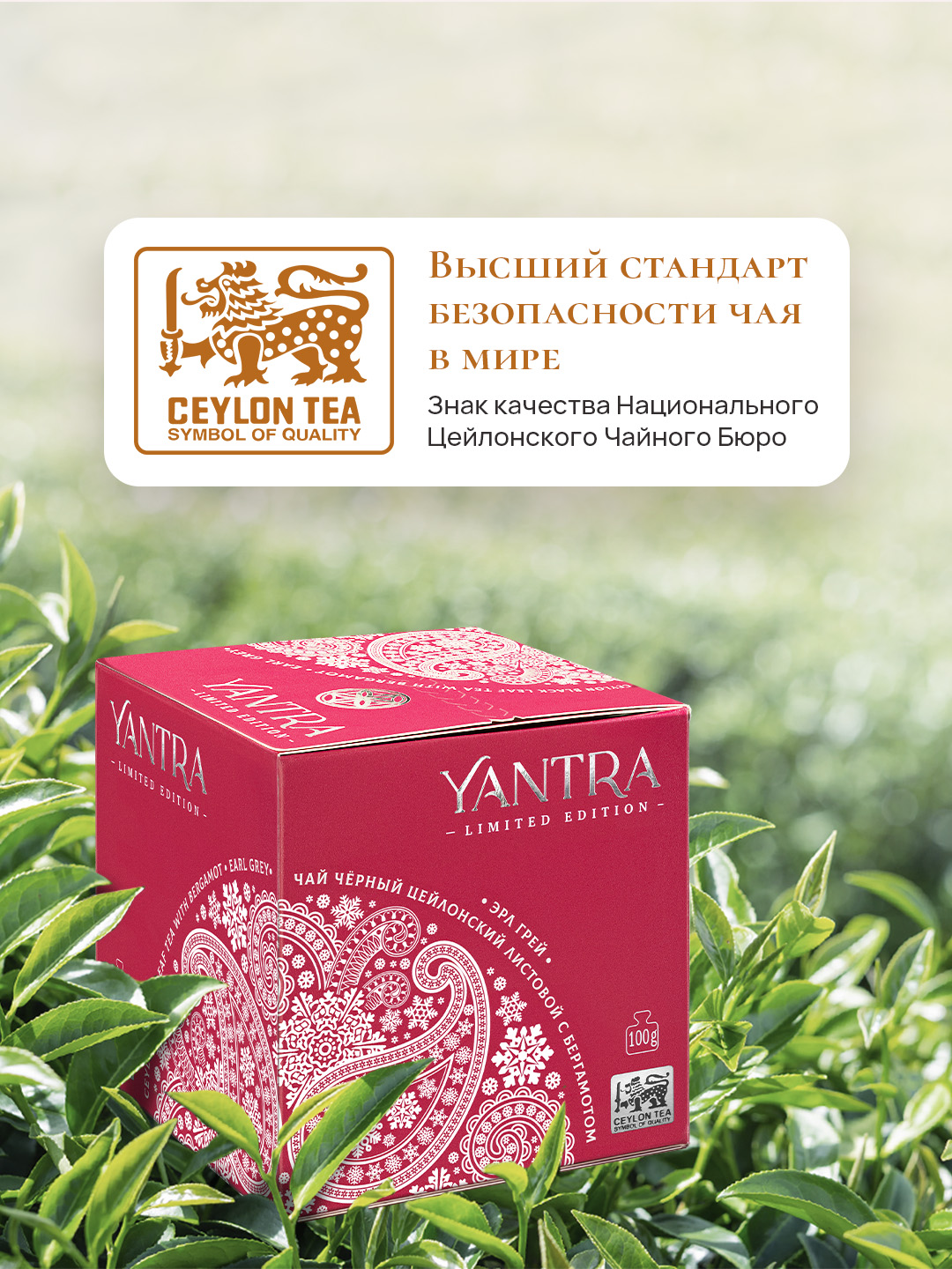 Чай Limited Edition Yantra чёрный листовой с бергамот Earl Grey стандарт FBOP 100 г - фото 2