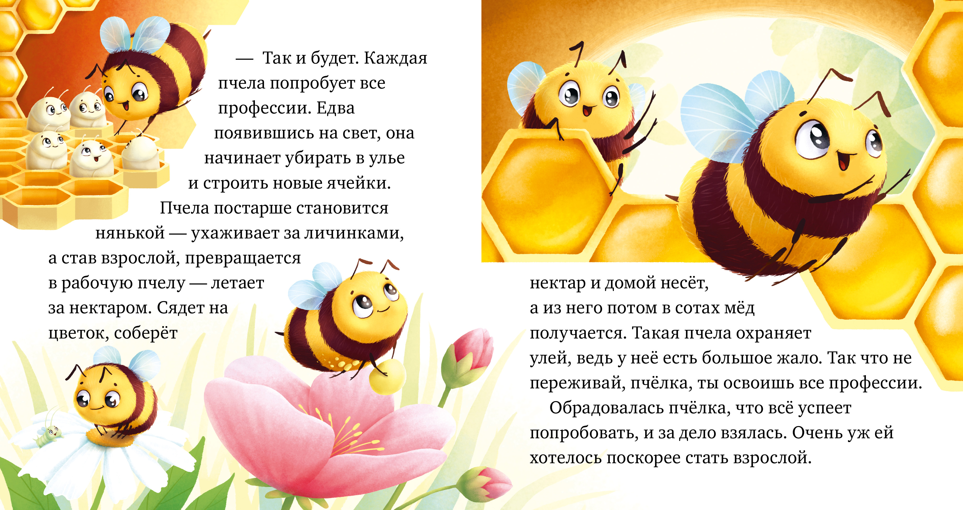 Книга Clever Любознательный малыш Приключения букашек Ульева Е - фото 6
