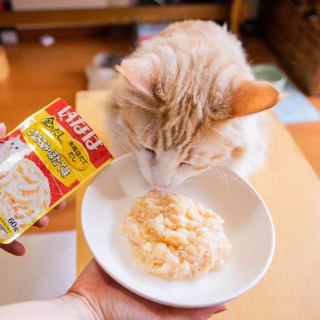 Корм для кошек INABA Ciao Kinnodashi 60г куриное филе с говядиной пауч