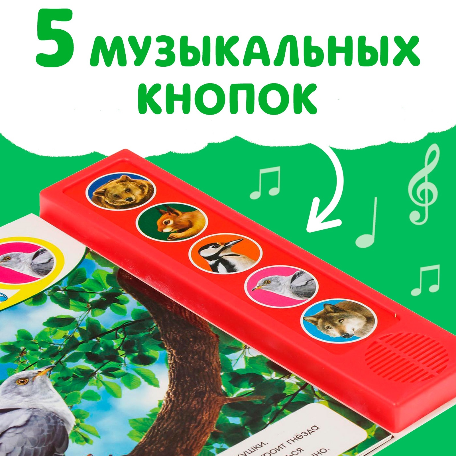 Музыкальная книга Буква-ленд «Звуки леса» 10 стр. - фото 3