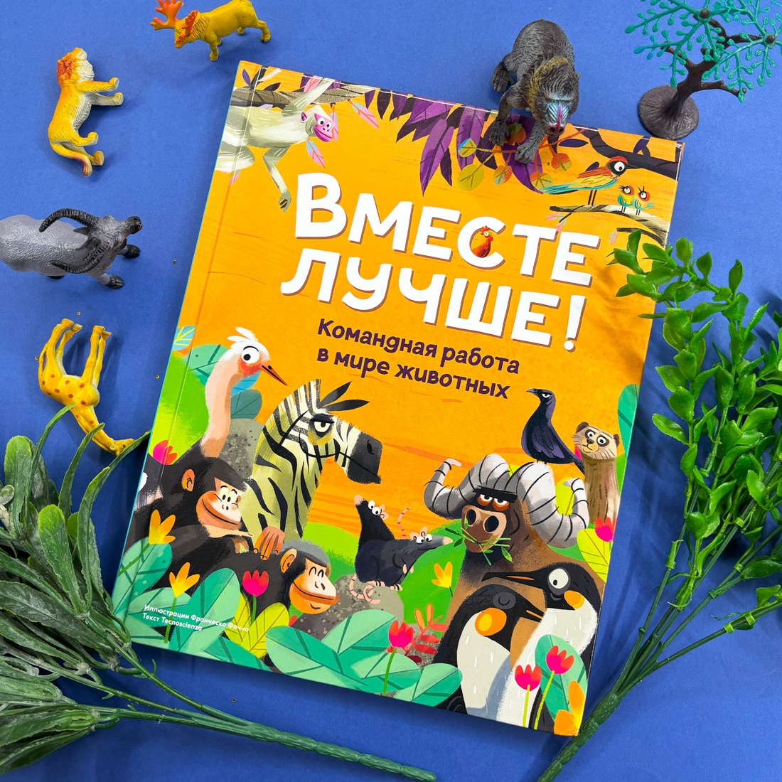 Книга Махаон Вместе лучше! Командная работа в мире животных. - фото 2