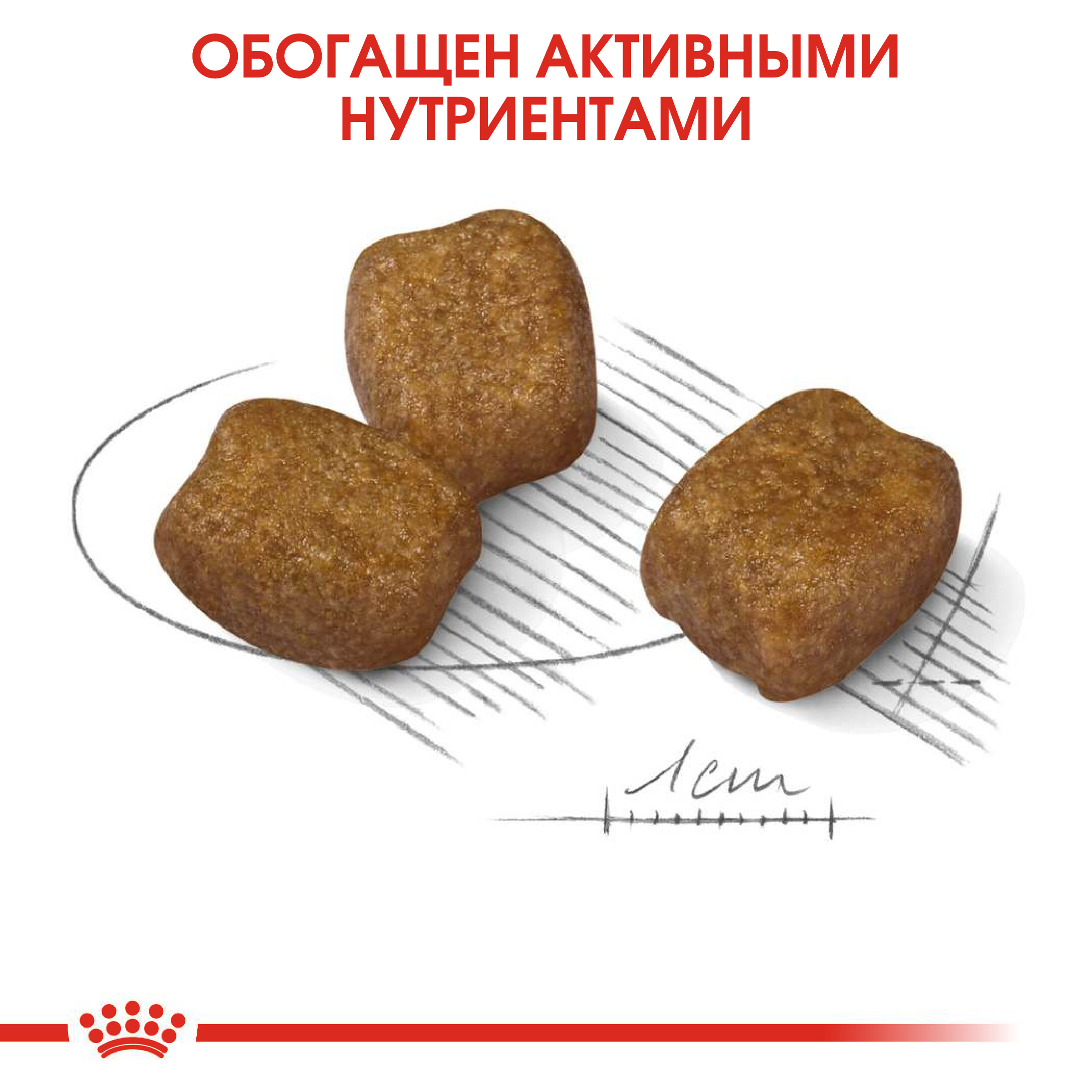 Корм для собак ROYAL CANIN Mini Dental мелких пород предрасположенных к образованию зубного камня 1кг - фото 5