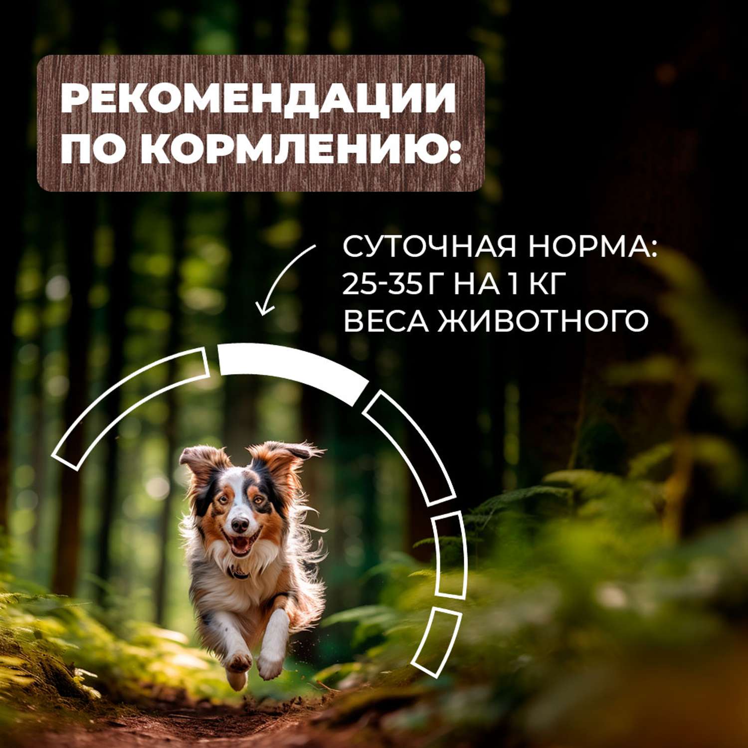 Корм для собак Родные корма мясное ассорти в желе по-боярски 970г - фото 5