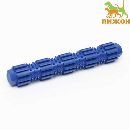 Игрушка Пижон жевательная для собак «Палка с шипами» TPR 18 см синяя
